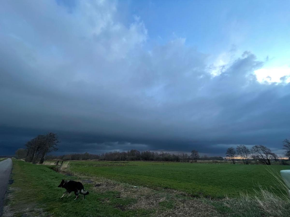 Zomerdijk-Inn Zuid Wanneperveen エクステリア 写真