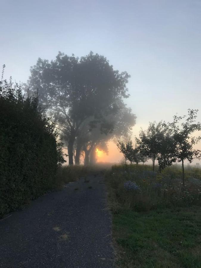 Zomerdijk-Inn Zuid Wanneperveen エクステリア 写真